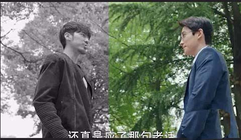 Premiere视频怎么制作一半黑白一半彩色效果?