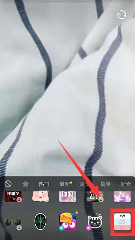 抖音怎么拍满屏粉色小猪视频?