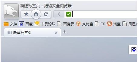 猎豹浏览器如何查看浏览记录？猎豹浏览器查看历史记录的方法图解