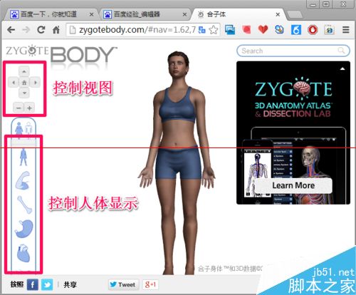 人体浏览器是什么？谷歌人体浏览器的使用方法