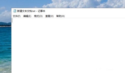 Win10使用OneNote将图片文字转换为电子文字方法