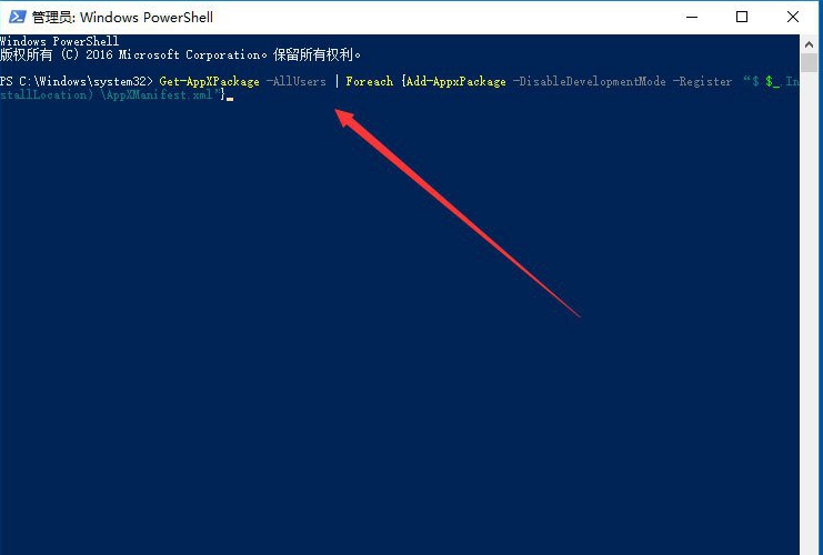 如何解决Win10系统应用商店闪退?
