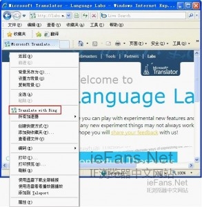 怎么让网页自动翻译？ 在IE浏览器中实现网页自动翻译的方法