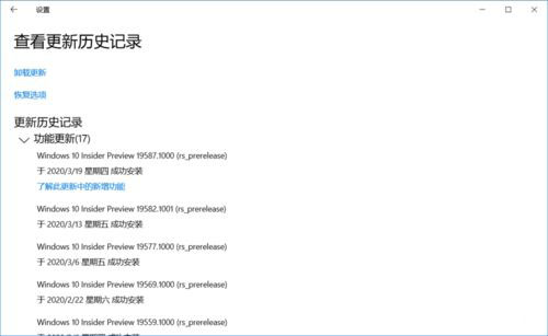 Win10 19587快速预览版怎么手动更新升级？