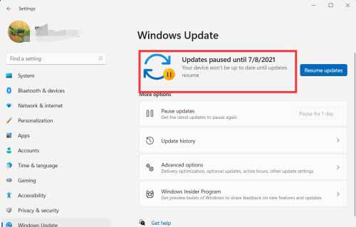 win11如何设置暂停更新?设置暂停更新Windows11的方法