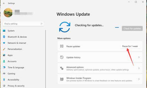 win11如何设置暂停更新?设置暂停更新Windows11的方法