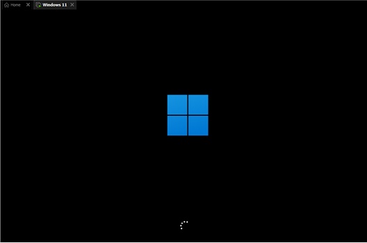 Win11怎么进入安全模式？Windows 11进入安全模式的方法
