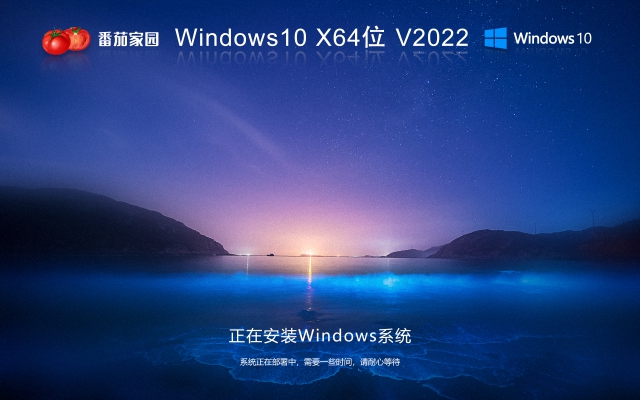 番茄家园最新版win10 LTSC 企业版 X64位 纯净系统 V2023 windows10 LTSC 系统下载