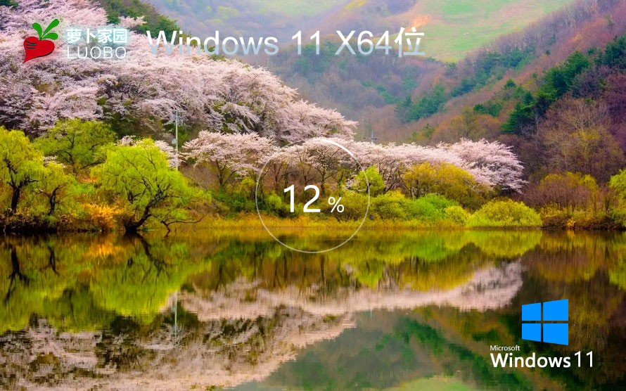 萝卜家园WIN11企业版 永久激活 GHOST windows11 X64 V2022.07