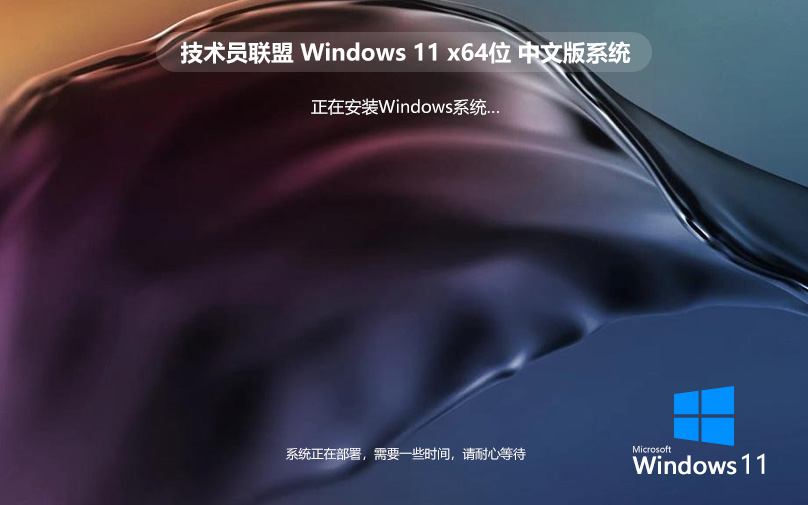 联想/戴尔品牌机专用系统 技术员联盟Win11专业版 完美激活 ghost ISO镜像 X64下载