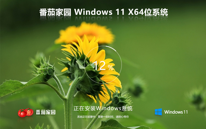 Win11专业版下载 笔记本专用 永久激活ghost系统 ISO镜像 X64位