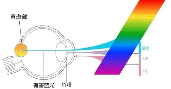 护眼显示器真的有用吗 是不是智商税