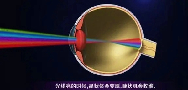 护眼显示器真的有用吗 是不是智商税