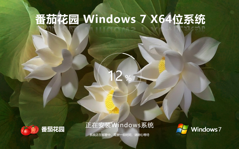 番茄花园windows7企业版 64位企业版完美装机版 永久激活 ghost镜像下载