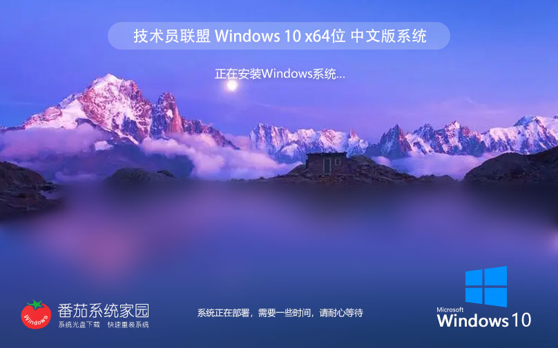 技术员联盟windows10专业版 64位专业正式版下载 永久激活系统镜像 v2023