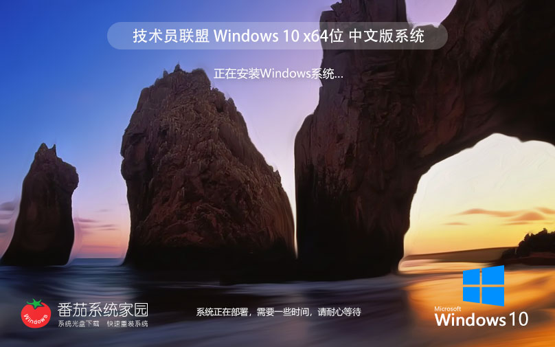 Win10纯净版镜像下载 技术员联盟Windows10 x64位系统下载 永久激活