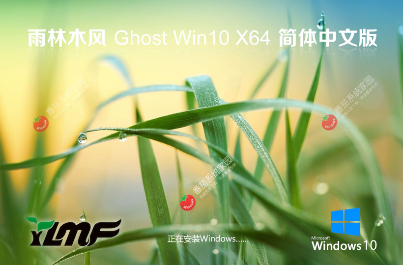 win10专业版激活密钥 雨林木风系统下载 64位 笔记本专用下载