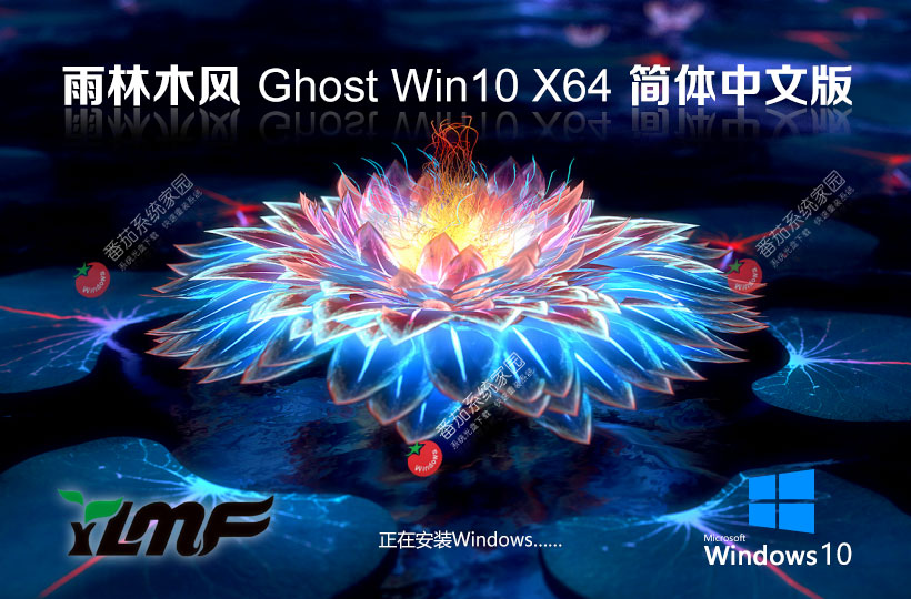 win10游戏版下载 雨林木风 X64位高性能版本下载 v2023