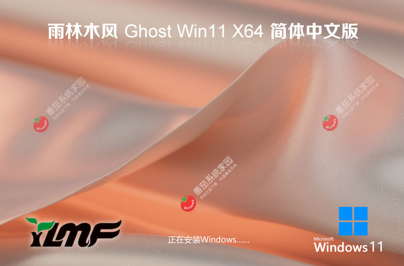 windows11游戏专用系统 雨林木风x64位下载 GHOST镜像 免激活工具