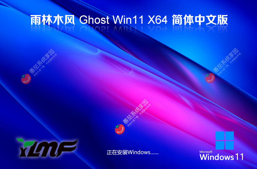 雨林木风win11家庭版 x64位中文版下载 永久免费 Ghost镜像