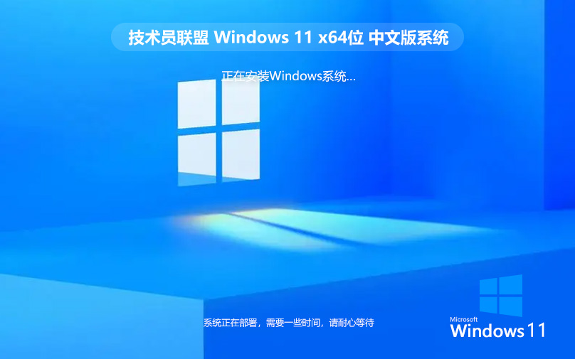 Windows11最新娱乐版 技术员联盟x64位下载 免激活工具 官网镜像下载