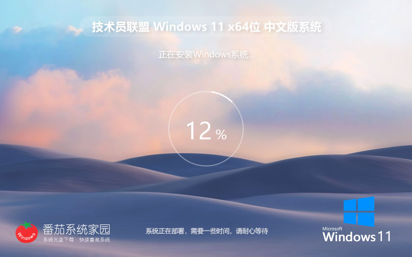 技术员联盟win11装机版 x64位游戏专用系统下载 GHOST镜像 笔记本专用下载