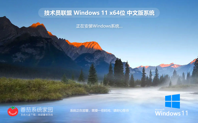 win11专业纯净版下载 技术员联盟x64位 ghost系统 永久激活 v2023