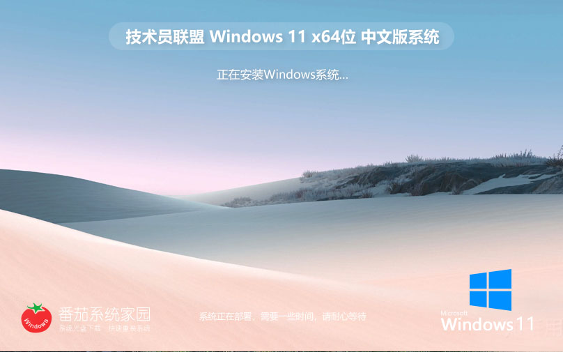 Win11安全稳定版下载 技术员联盟x64位 高性能ghost系统 ISO镜像下载