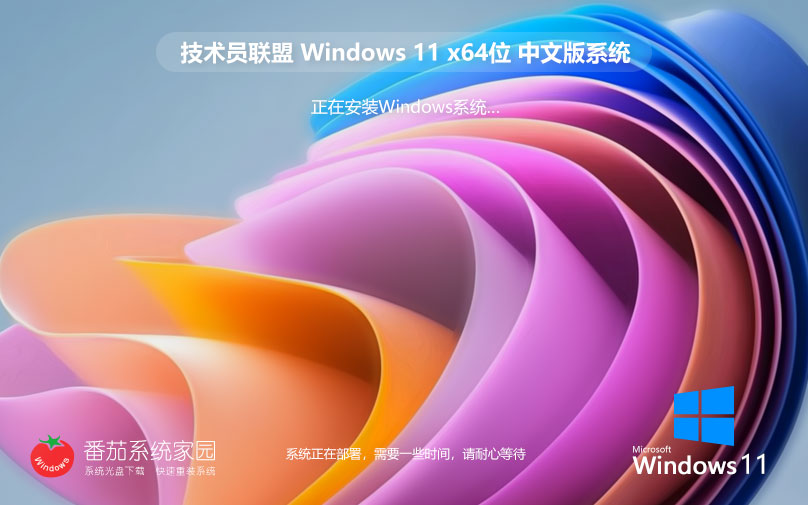 win11企业正式版下载 技术员联盟 x64位经典版下载 华硕笔记本专用下载