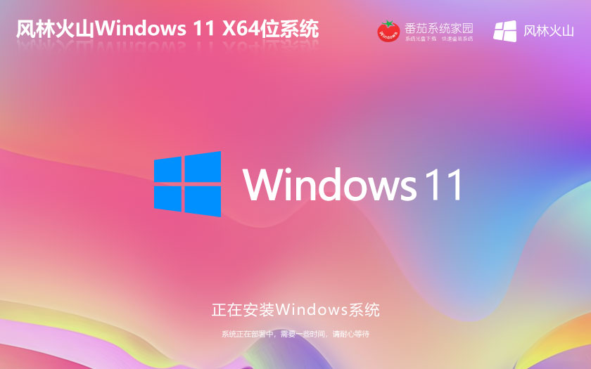 windows11最新专业版 风林火山x64位特别版 微软官网正式版 官网镜像下载