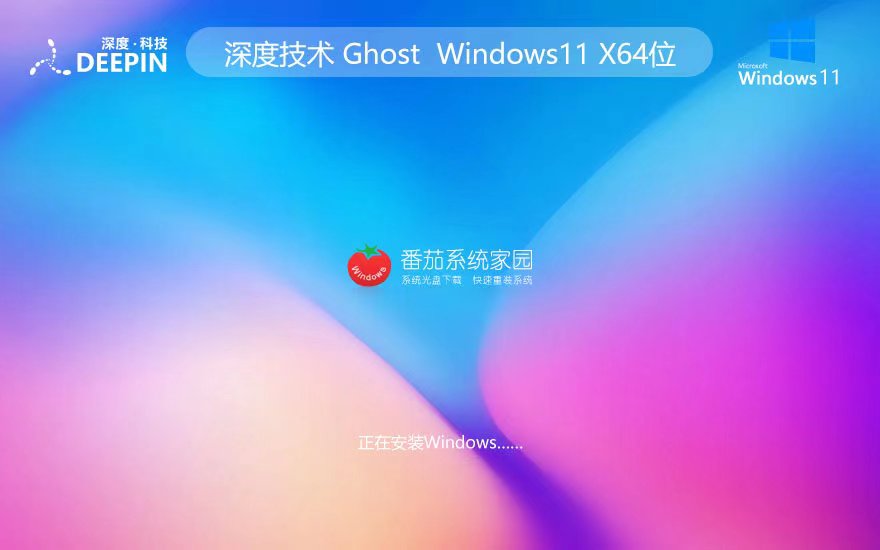 深度技术win11官方企业版 x64位最新下载 ghost系统 ISO镜像下载