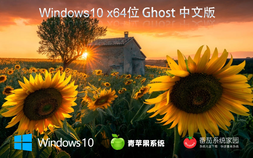 青苹果系统win10增强版 x64位稳定版下载 ghost系统下载 戴尔笔记本专用