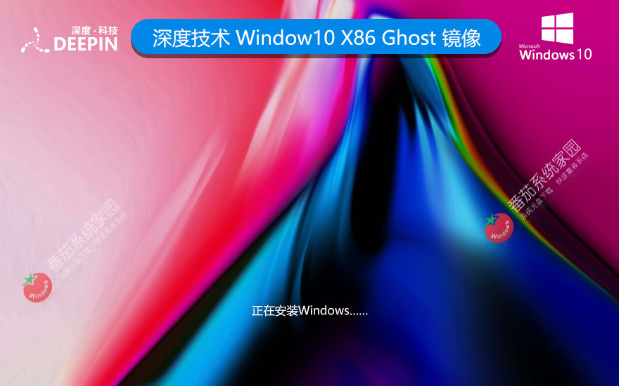 深度技术windows10娱乐版 x86特别版下载 惠普电脑专用 32位免激活工具下载