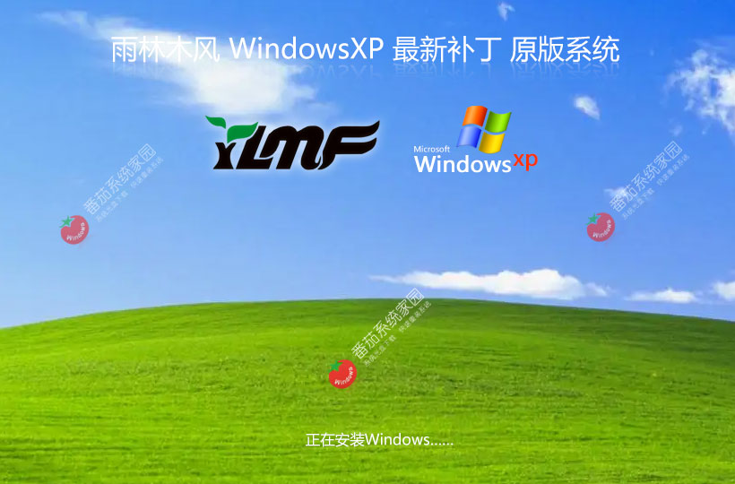 x86企业版下载 雨林木风WinXP特别版 官网镜像下载 永久免费