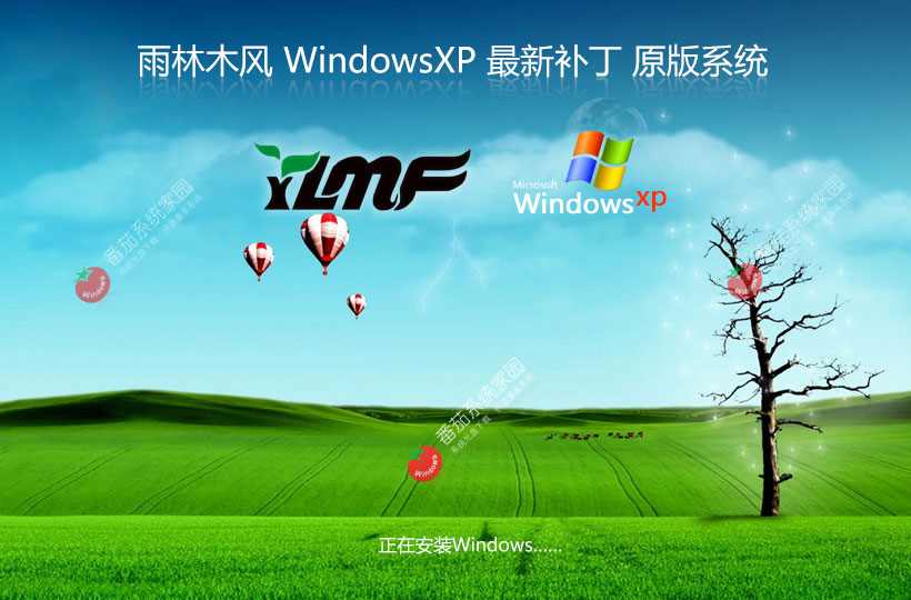 雨林木风winXP游戏版 x86技术流畅版下载 无需激活码 iso镜像下载