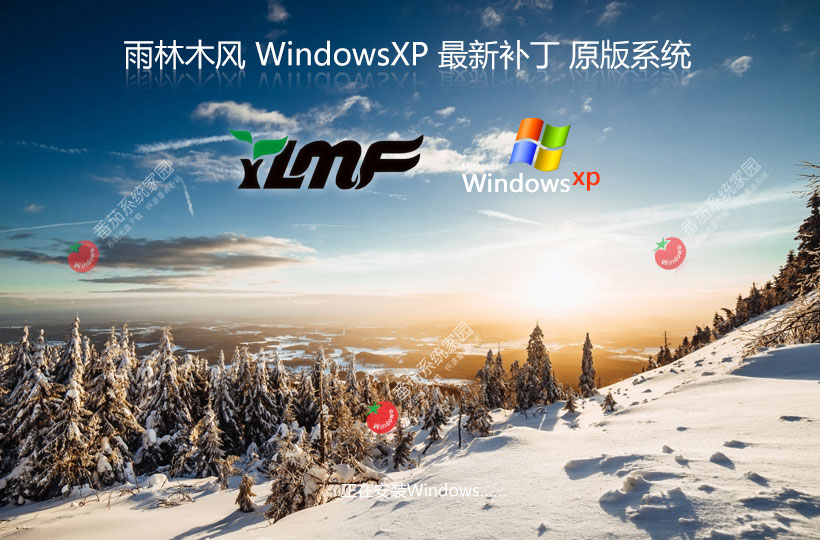 雨林木风WinXP简约版 x86青春纯净版下载 ghost镜像 免激活工具下载