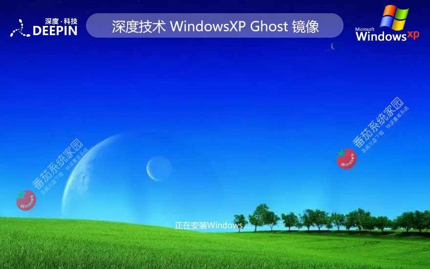 深度技术x86游戏版 winXP专业电竞版下载 ghost镜像 免激活工具下载