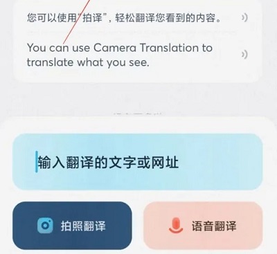 有道翻译怎么实时翻译 有道翻译官实时翻译方法介绍