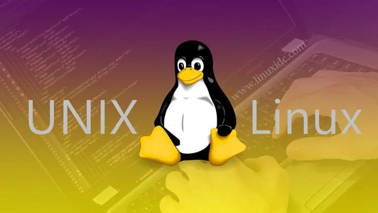 如何判定Linux系统是运行在虚拟机上还是物理机上
