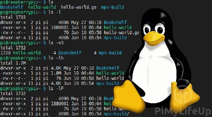 如何判定Linux系统是运行在虚拟机上还是物理机上