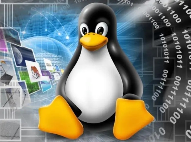 怎么查看正在运行的Linux系统版本 教你查看正在运行的Linux系统版本方法