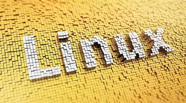 linux注销其他用户命令是什么 在Linux中注销其他SSH用户方法