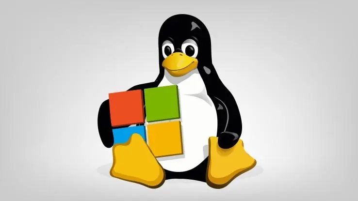 linux注销其他用户命令是什么 在Linux中注销其他SSH用户方法