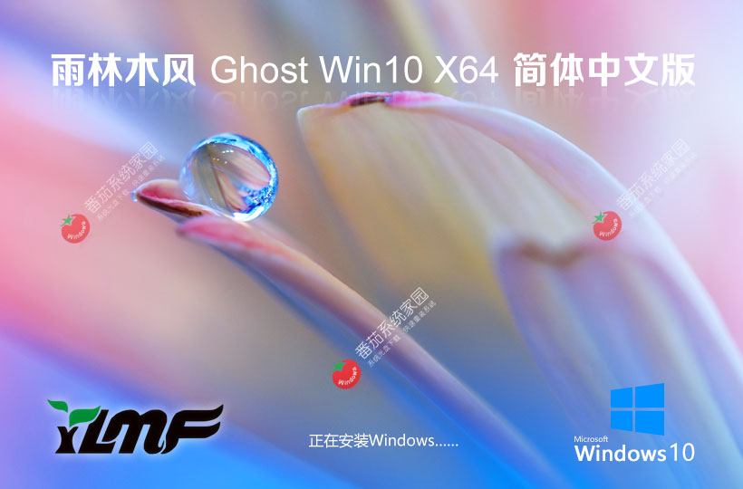 雨林木风x64游戏专用版 win10电竞战斗版 ghost镜像下载 免激活工具
