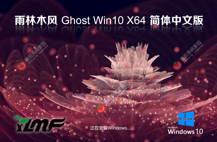 雨林木风win10游戏专用系统 x64位大师版下载 免激活密钥 GHOST镜像下载