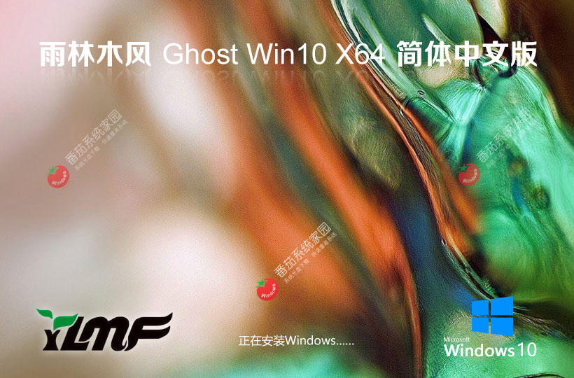 雨林木风Win10旗舰版 戴尔笔记本专用下载 GHOST镜像 64位完美装机版下载