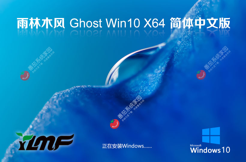 雨林木风x64位精简版 Windows10纯净版下载 ghost镜像 笔记本专用下载