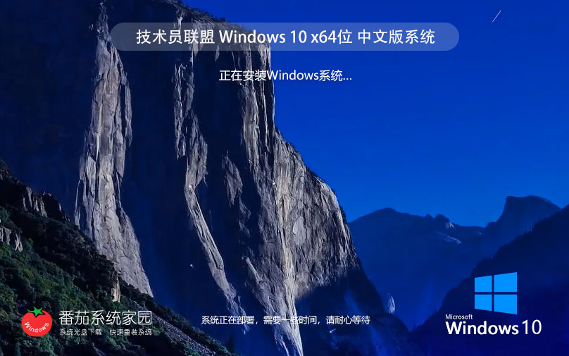 技术员联盟x64位旗舰版 win10万能版下载 笔记本专用ghost系统 ISO镜像下载