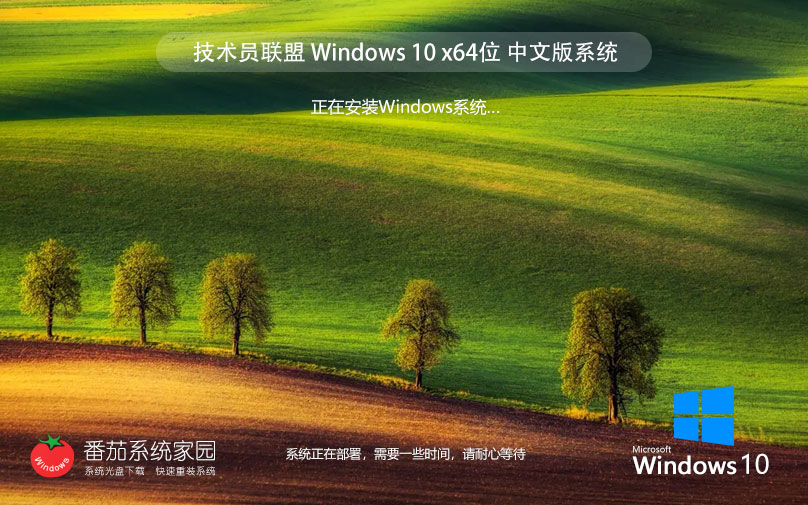 技术员联盟win10企业版 官方原装版下载 x64位永久免费 GHOST镜像下载