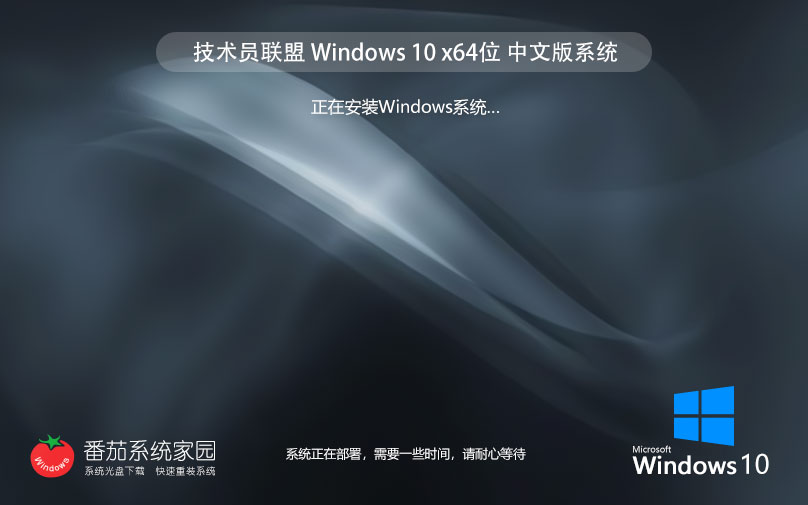 Windows10家庭版下载 技术员联盟 x64位永久免费下载 ghost ISO镜像下载